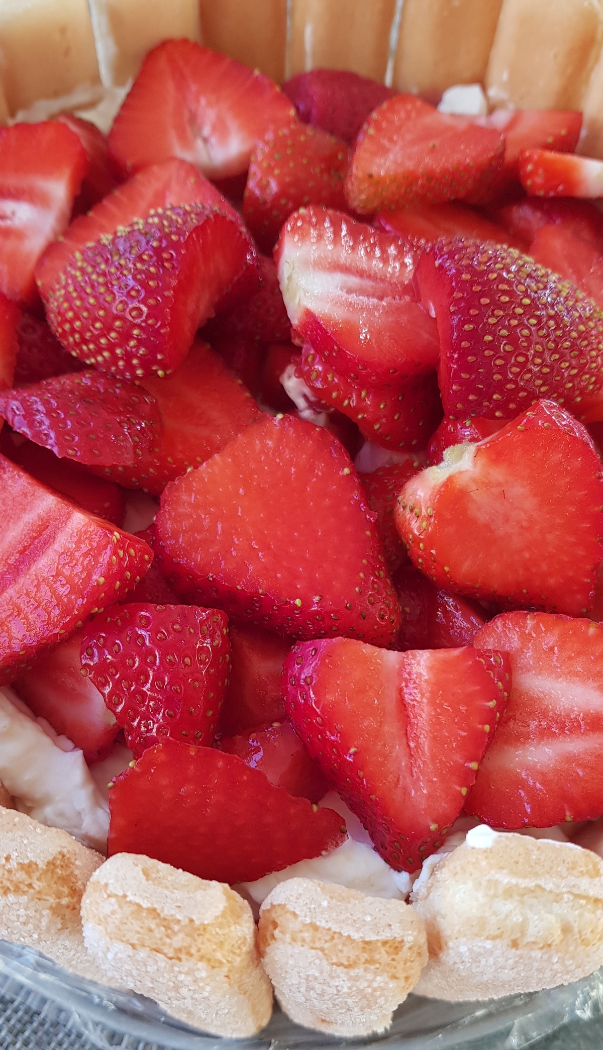 Erdbeer-Tiramisu-Charlotte - Susan Diethelm