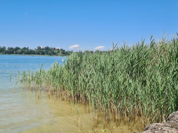 Chiemsee Fraueninsel