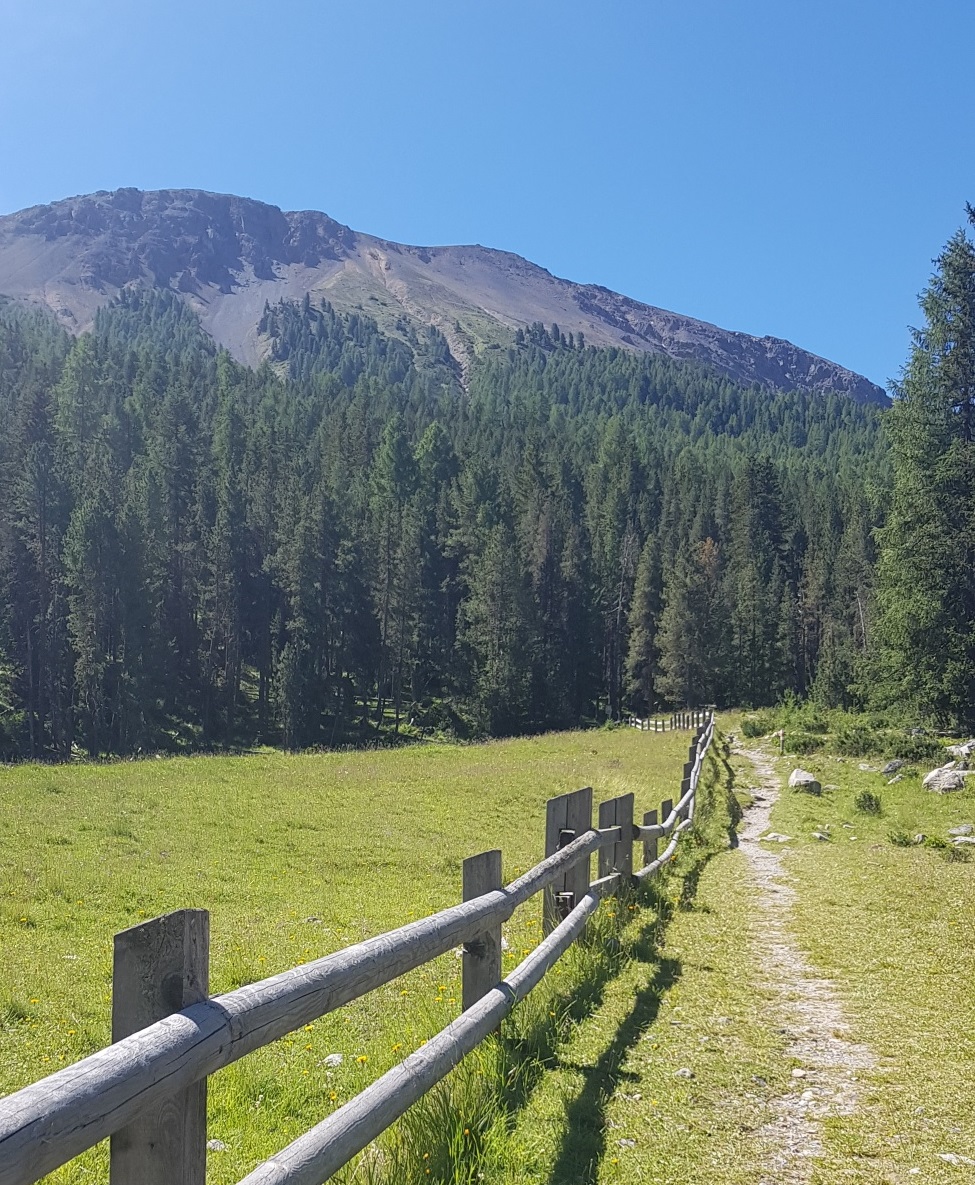 Nationalpark_Ofenpass